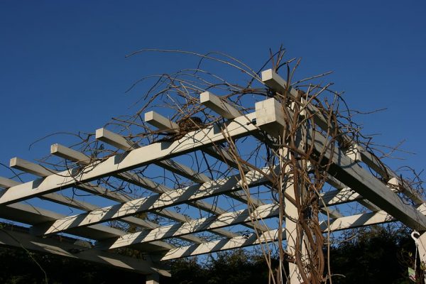 Toutes les caractéristiques d’une pergola bioclimatique